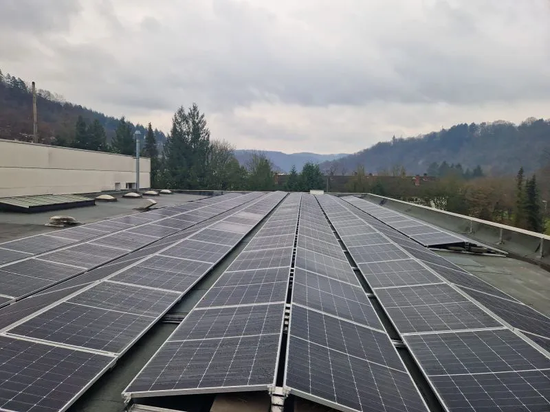 Sustainability Section Image